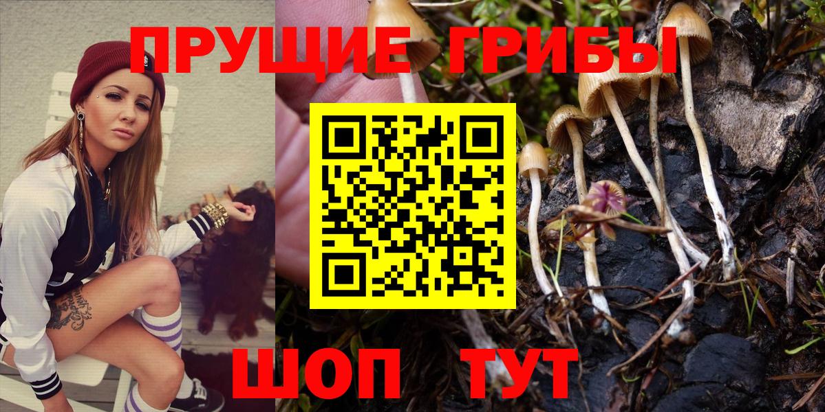Псилоцибиновые грибы ЛСД Надым